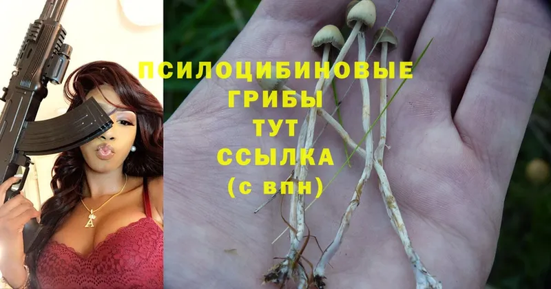 Псилоцибиновые грибы Magic Shrooms Заринск